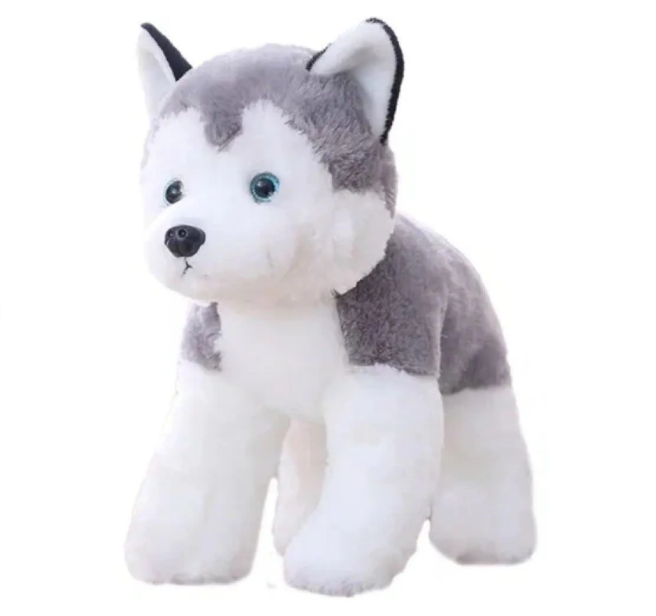 product-photo